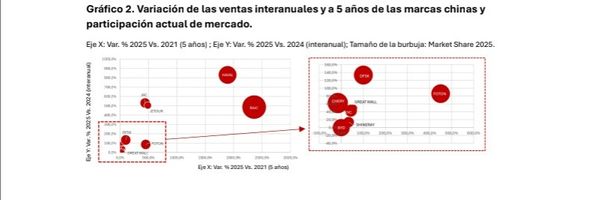 Marcas chinas mercado automotor argentino