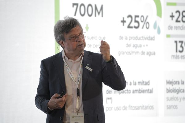 marcelo torres aapresid