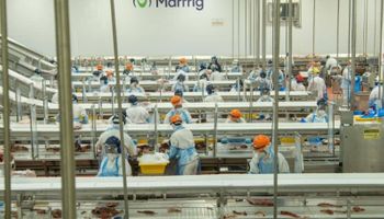 Uruguai barra novamente compra de frigoríficos da Marfrig pela Minerva
