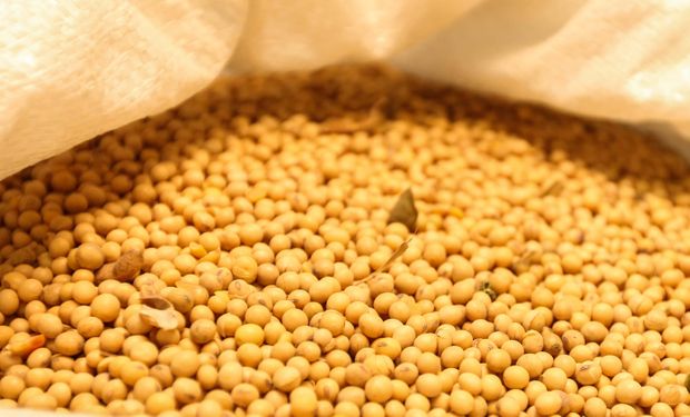 Margem da soja avança com alta do óleo e queda no custo do grão