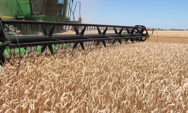 Informe difundido por la Estación Experimental Agropecuaria Marcos Juárez.