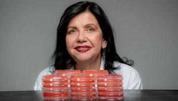Cientista brasileira vence “Nobel da agricultura” por fixação biológica de nitrogênio para grãos
