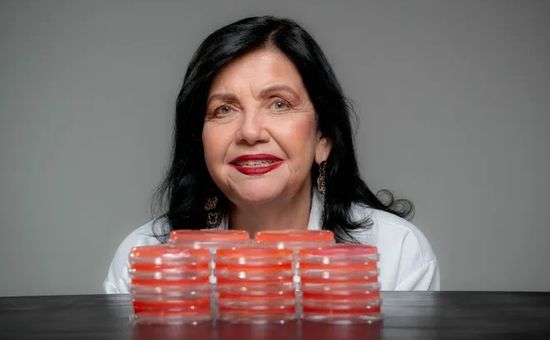 Bioinsumo é utilizado em 85% da área de soja no Brasil, com economia de US$ 25 bilhões

