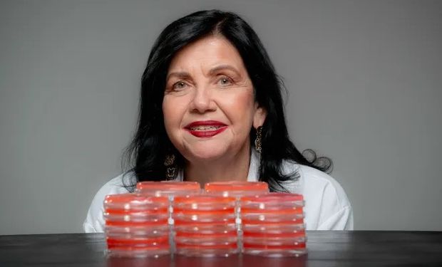 Cientista brasileira vence “Nobel da agricultura” por fixação biológica de nitrogênio para grãos