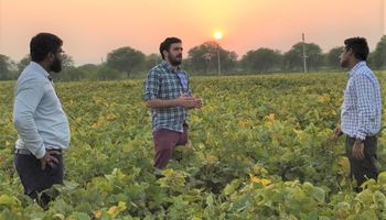 Argentina tendrá un representante agrícola en la India: quién es el elegido