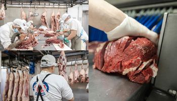 Una historia de carne y hueso: de mercado de barrio a abastecer a restaurantes top y tener más de 1000 clientes con un frigorífico en pleno CABA