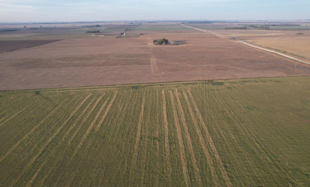 Venta de campos: la nueva forma de ver y entender el valor real de la tierra que lanzó una inmobiliaria rural