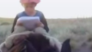“Dormí debajo de una piedra, pero no tuve miedo”: el testimonio de Marito, el nene de 11 años que estuvo perdido dos días en la montaña para cuidar a su caballo