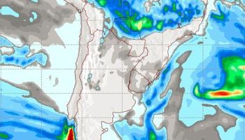 Vuelven las lluvias