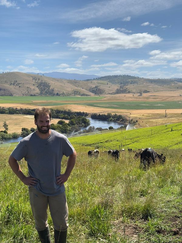 martin rostagno tambo