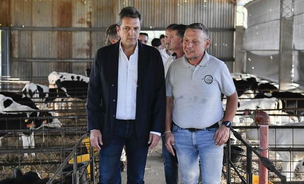 Inédito en ganadería: alertan que Massa quiere sumar un impuesto a los vientres