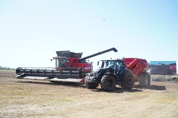 cosechadora oficial expoagro