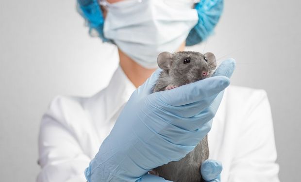 El rol del INTA en la protección de animales de laboratorio