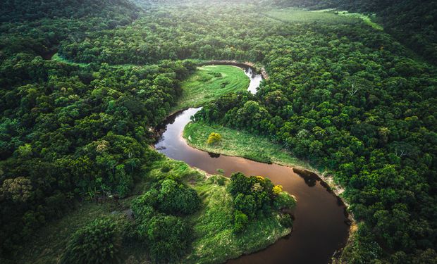 Mapa e Caixa unem forças para ampliar desenvolvimento florestal