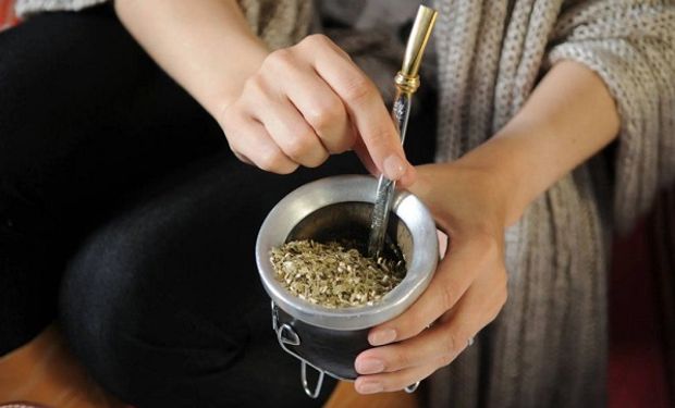 Día Nacional del Mate: los tipos y los consejos para elegir el mejor