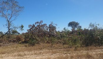 Ação embarga área e aplica multa por desmatamento ilegal em Mato Grosso