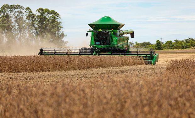 Imea mantém estimativa para safra de soja em Mato Grosso