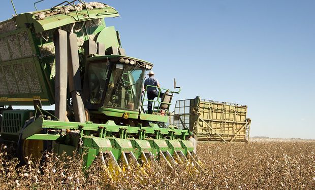 O Plano de Desenvolvimento Agropecuário e Agroindustrial do Matopiba definirá a delimitação territorial da região geográfica do Matopiba. (Foto - Foto: Daniel Fagundes/Trilux)