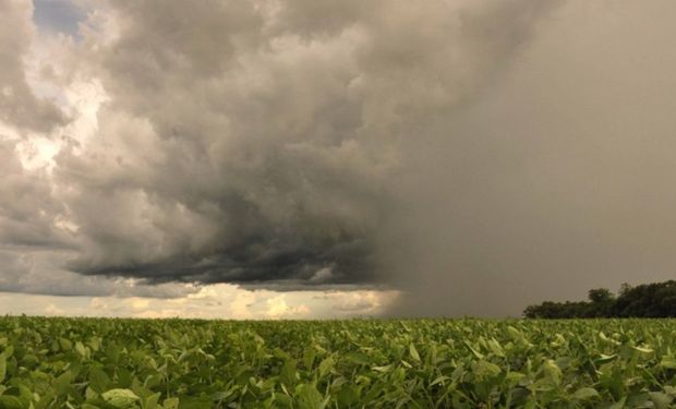 Áreas de instabilidade com chuva intensa atingirão especialmente a área agrícola do Nordeste