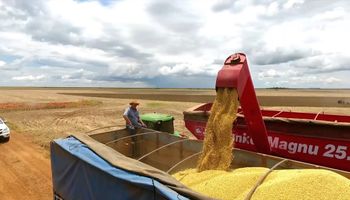 El fuerte avance de la cosecha en Brasil presiona negativamente a la soja