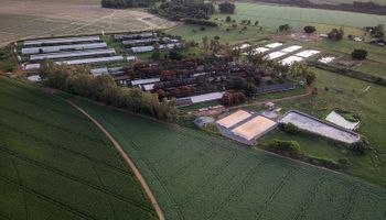 Cómo anotarse: los 20 años del MBA argentino de agro que es el mejor de Latinoamérica y el N°2 a nivel mundial