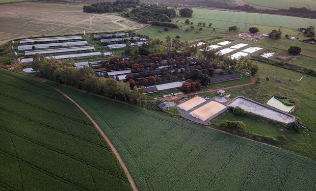 Cómo anotarse: los 20 años del MBA argentino de agro que es el mejor de Latinoamérica y el N°2 a nivel mundial