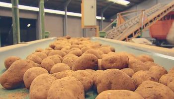 McCain vai investir R$ 1,8 bilhão para ampliar fábrica em Minas Gerais