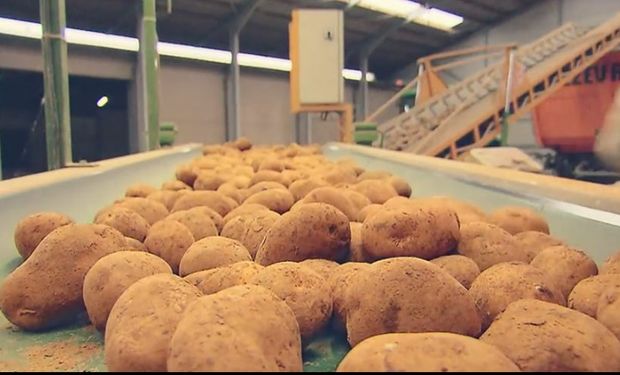 O projeto também acompanha as metas globais de sustentabilidade da companhia.