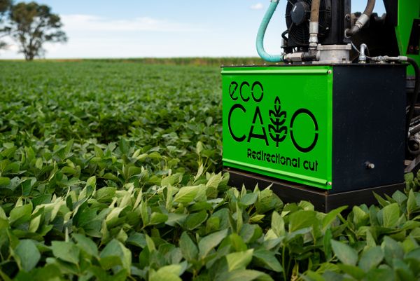 ecocaio invento