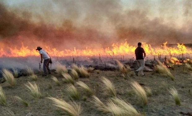 El panorama es desolador en esa provincia.