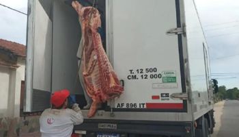 Nuevo robo de medias reses y ya van 45.000 kilos de carne: reclaman respuestas y hay temor de que los asaltos se extiendan a otras regiones