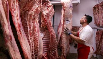Expectativas ganaderas: demanda china, reducción de vientres y precios sostenidos 