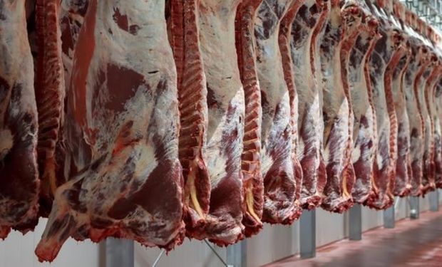 En Uruguay el precio de la carne vacuna a China cae un 15% respecto a diciembre.