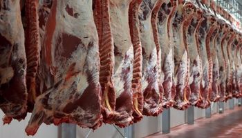 Aumenta la faena de hembras y retrocede la industria