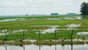 Zonas inundadas: Agroindustria puso en marcha paquete de medidas