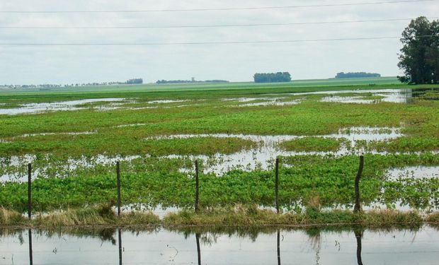 La inundación afectó fuertemente al noroeste bonaerense. Foto: Ministerio de Agroindustria de la Nación.