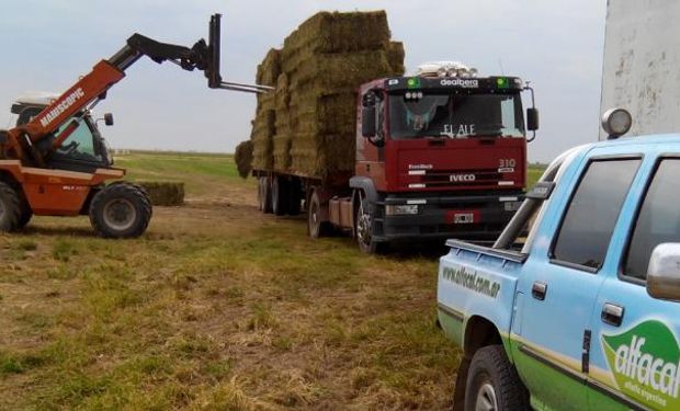 La empresa Alfacal busca sumar más productores para ganar en escala. Exporta a países del Golfo Pérsico.