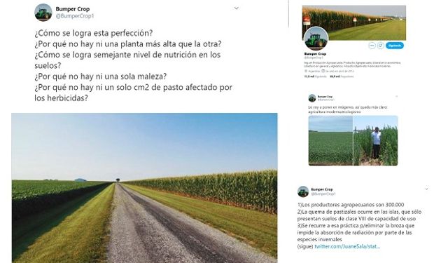 Los Twits más vistos de Bumper Crop