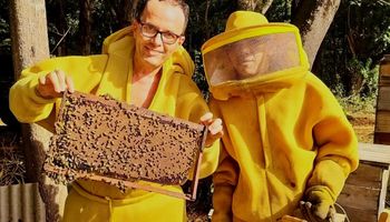 Conheça o apicultor que fatura R$ 2,5 milhões ao ano