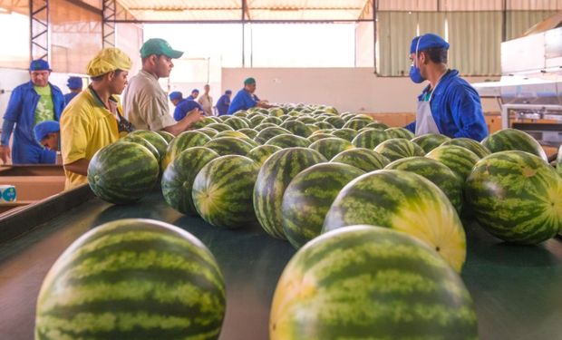 Agrícola Famosa adquire empresa espanhola para criar a maior fornecedora de melões e melancias para a Europa