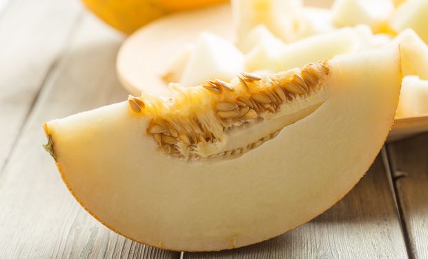 Melão foi a segunda fruta mais exportada pelo Brasil em 2022. (foto - banco Freepik)