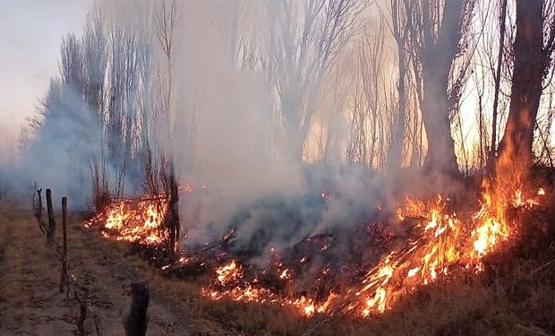 Participó del 9J y una semana después su campo se incendió: denunció que fue intencional