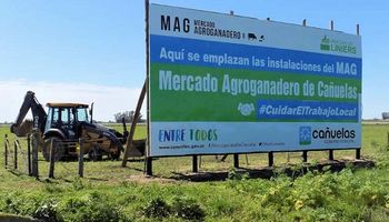 Avanzan las obras en el mercado agroganadero de Cañuelas