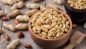 Mercado de amendoim movimenta R$ 18,6 bilhões e leva Brasil ao 3º lugar em produtividade mundial