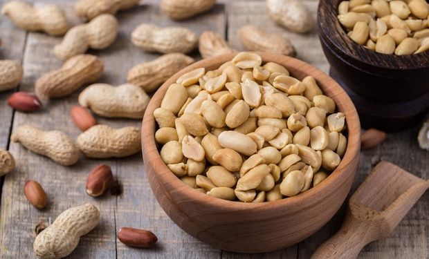 Mercado de amendoim movimenta R$ 18,6 bilhões e leva Brasil ao 3º lugar em produtividade mundial