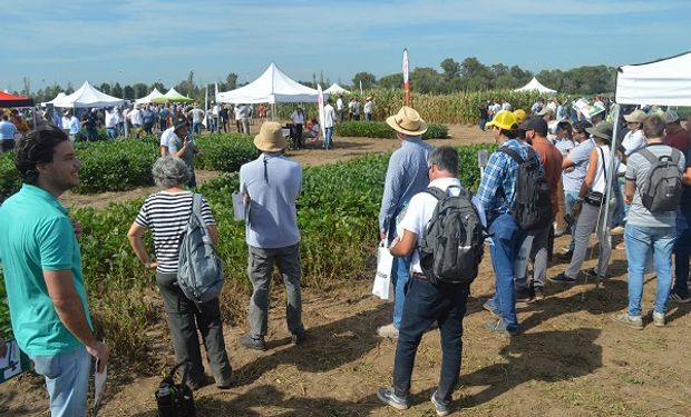 Todo sobre bioinsumos: cómo crece el mercado en Argentina, por qué no son inocuos y las principales conclusiones del encuentro cumbre que reunió a 1300 personas