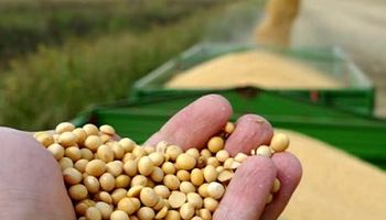 Negócios da soja travam no início de dezembro com produtor focado no clima