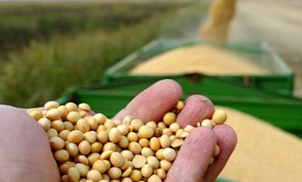 Negócios da soja travam no início de dezembro com produtor focado no clima