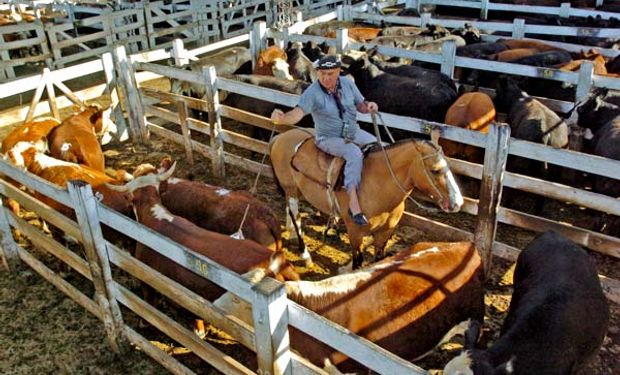 El último mes del 2015 en Liniers se vendieron 127.126 vacunos, 17.317 animales más que en Noviembre pasado.