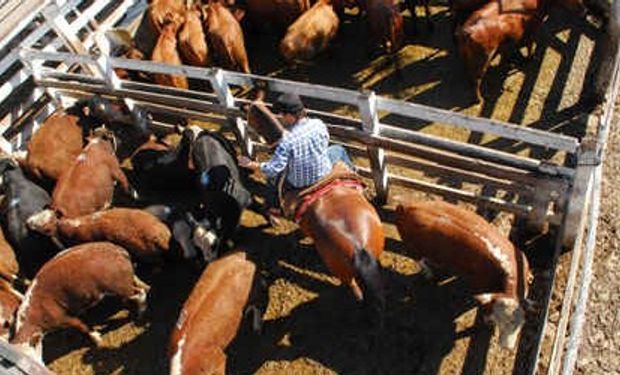 Interés solo por lotes de calidad